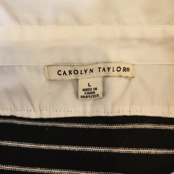Carolyn Taylor Black and White Stripe Sweater with White Collared Shirt Size L - Picture 4 of 7